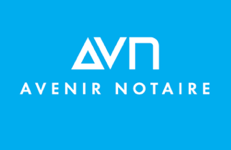Logo avn